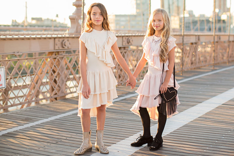 Brooklyn Dress in Blush