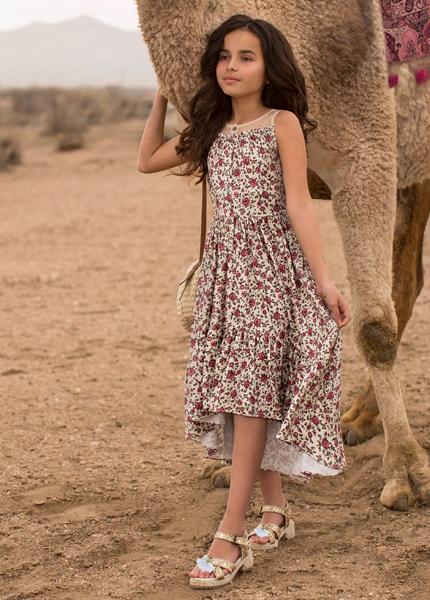 Chiara Dress in Floral