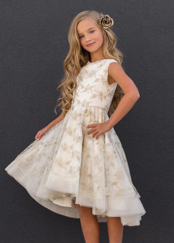 *EXCLUSIVE* Jacqueline Dress (Frank Test)