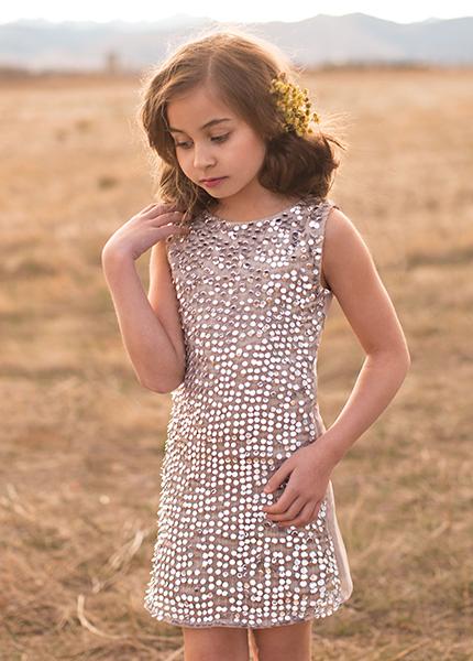 *NEW* Naiya Dress in Antique Silver