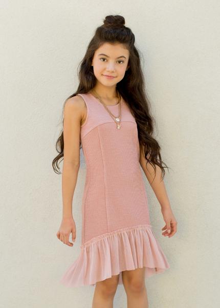 Nandi Dress in Blush
